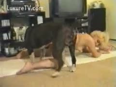 A platinum, golden-haired, natural-breasted milf takes her first brutal cock.